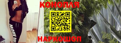 крисы Краснокаменск