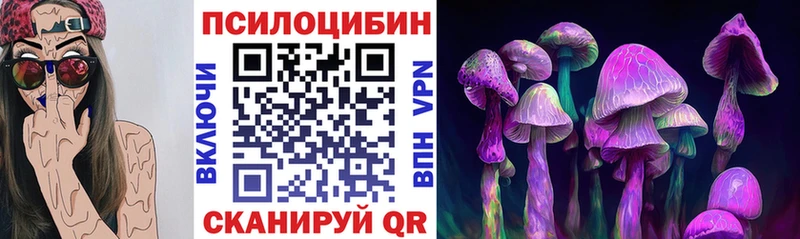 где найти наркотики  Вологда  OMG зеркало  Псилоцибиновые грибы GOLDEN TEACHER 