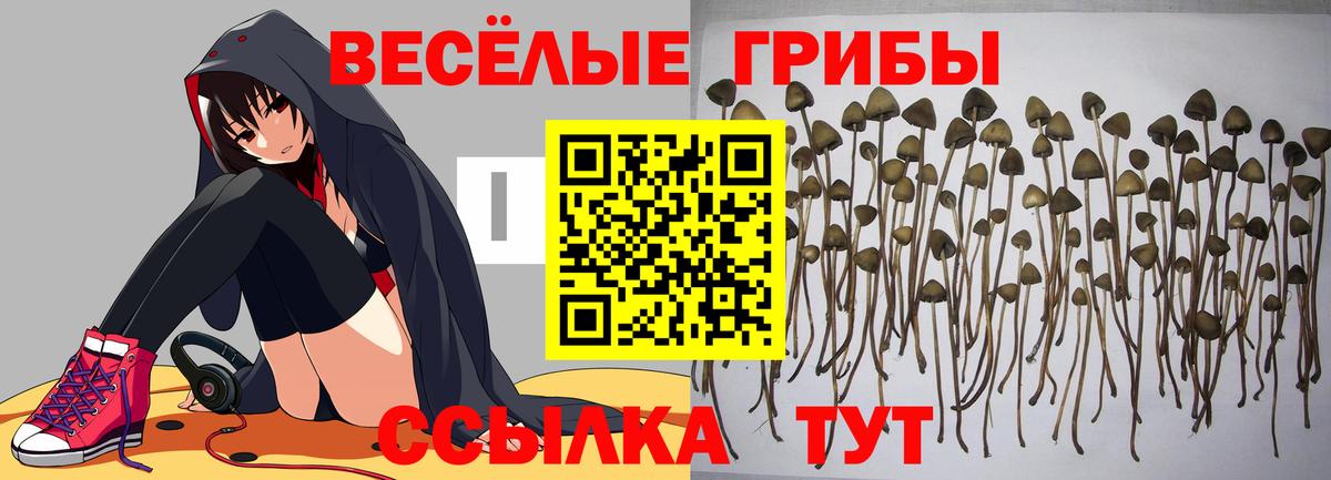 Галлюциногенные грибы ЛСД Вологда